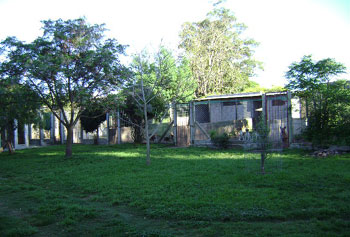 Pueblo Chico Kennel